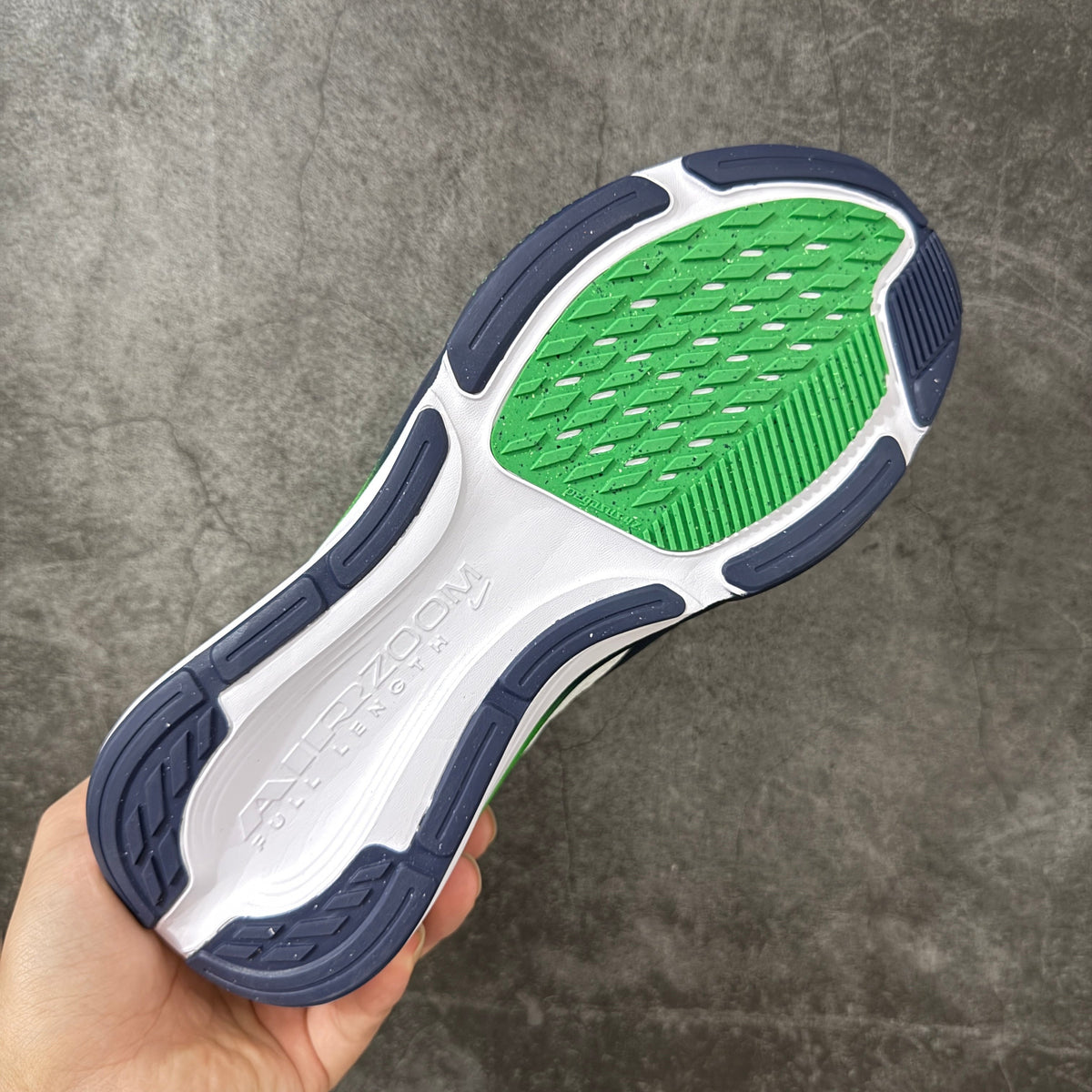 Air Zoom Pegasus 42-IB1873-107