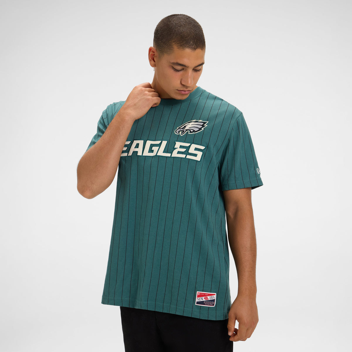 Detroit Lions Throwback Retro Pinstripe T-Shirt