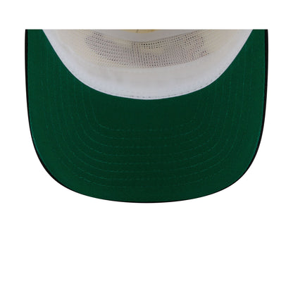 Pittsburgh Steelers Chrome White Pinstripe 19TWENTY Snapback Hat