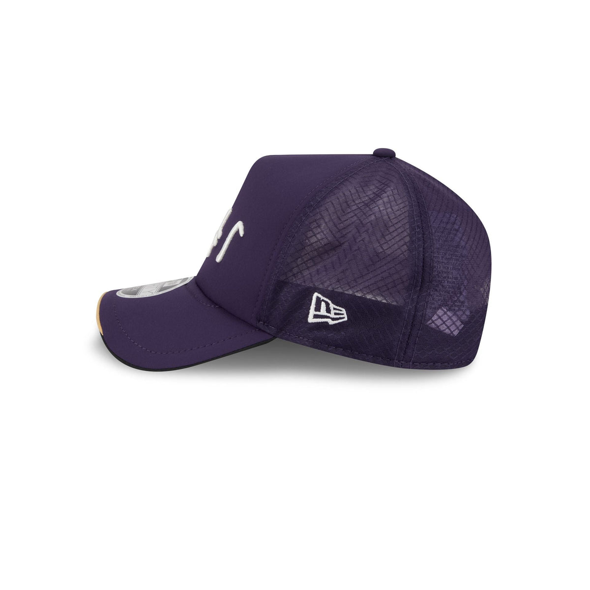 Minnesota Vikings 2026 Rivalries 9FORTY APEX Snapback Hat