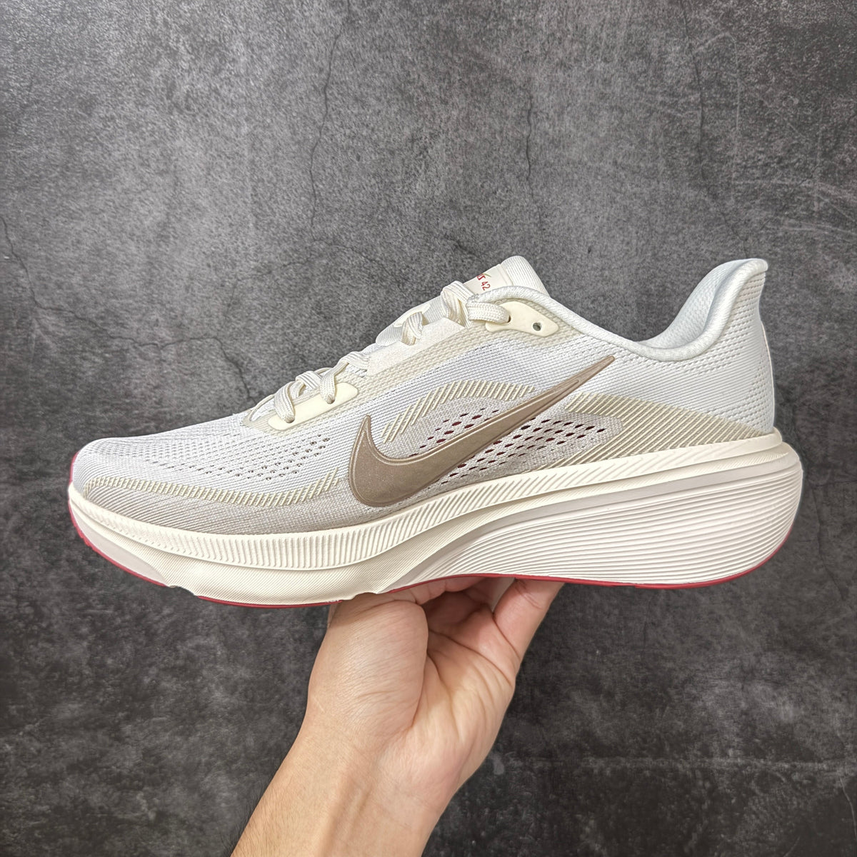 Air Zoom Pegasus  42-IB1881-004