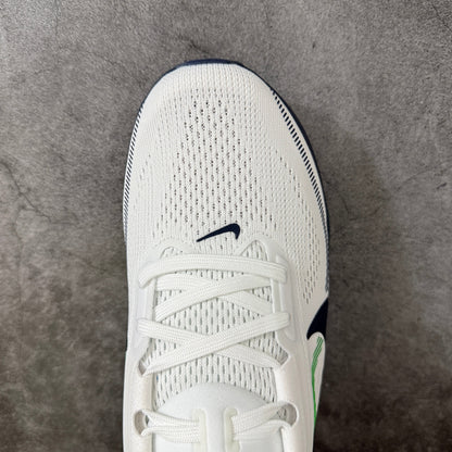 Air Zoom Pegasus  42-IB1873-107