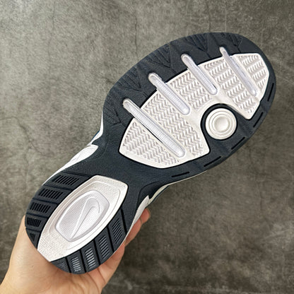 Air Monarch IV-415445-105