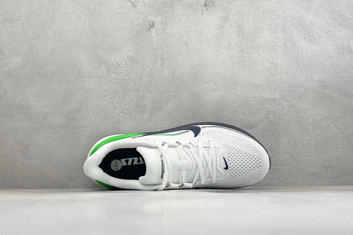 Air Zoom Pegasus 42-IB1873-107