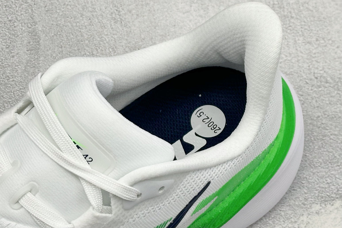 Air Zoom Pegasus 42-IB1873-107